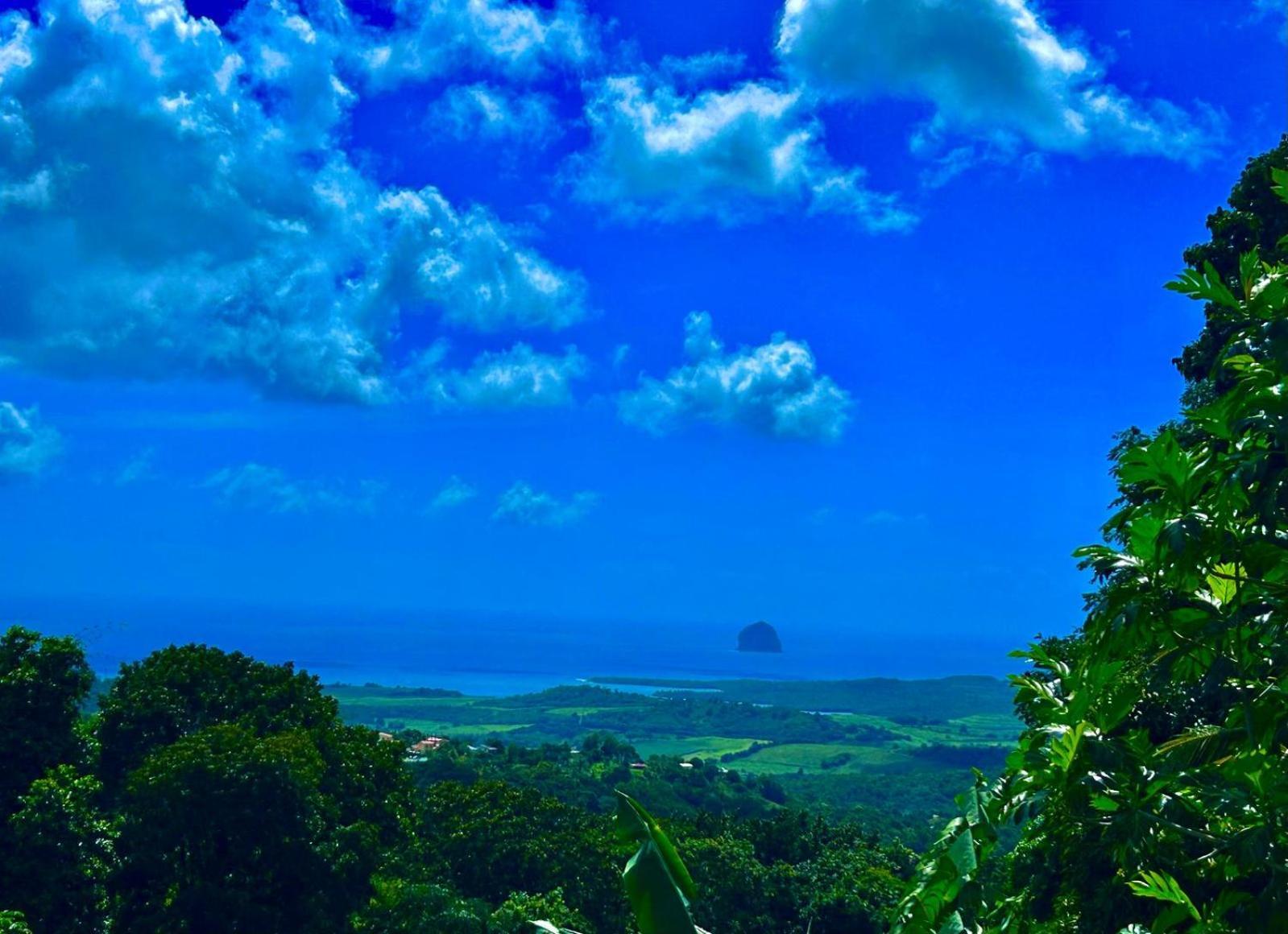 Villa Les Mahoganys Riviere-Salee ภายนอก รูปภาพ