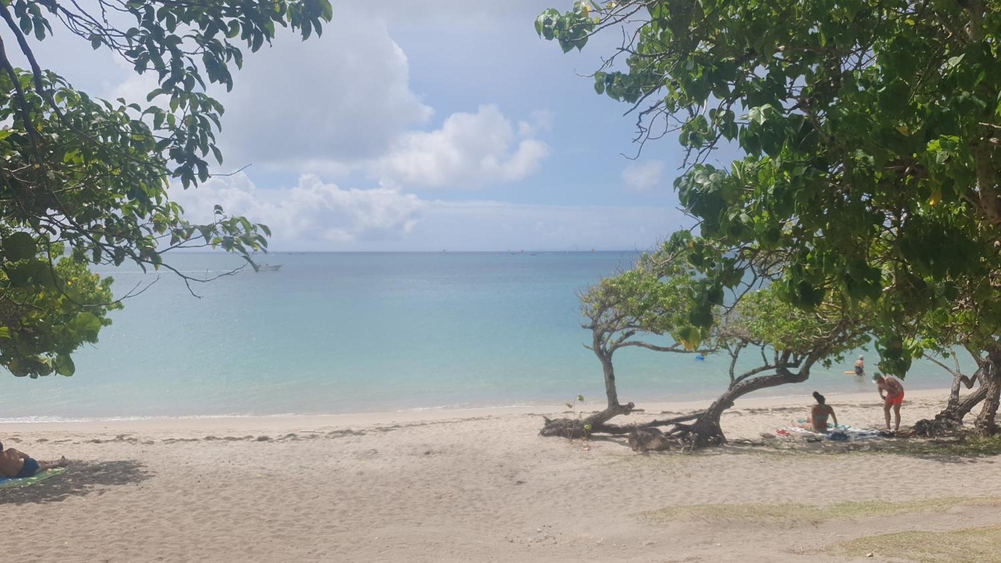Villa Les Mahoganys Riviere-Salee ภายนอก รูปภาพ